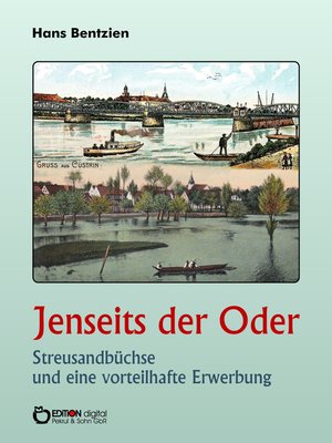 cover image of Jenseits der Oder